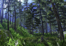 Солтүстік Америка табиағат зоналары