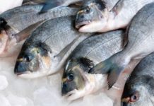 Карп балықтары