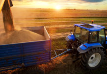 Дамыған капиталистік елдердің құрамына кіретін Италияның дүниежүзілік шаруашылықта алатын орны