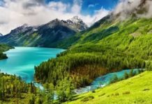 Алтайдың жер бедері мен геологиялық құрлысы, пайдалы қазбаларын, табиғат жағдайлары