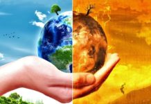 Өсімдіктер экологиясы пәнінің мақсаты, міндеттері