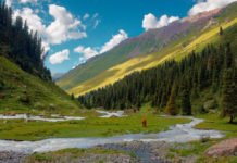 Тянь – Шанның жер бедері мен геологиялық құрлысы, пайдалы қазбаларын, табиғат жағдайлары