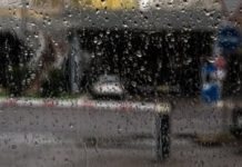 Автожолаушылар тасымалдау жүйелері