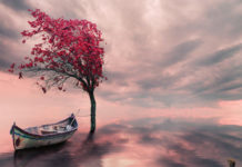 Ауаның қысымы және желдер