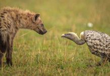 Биосфера туралы ұғым. Тірі организмдердің алуан түрлілігі