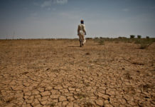 Қыз жыныс мүшесінің ұзындығын өлшейді