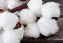 Өзбекстан Републикасының халқы мен шаруашылығы