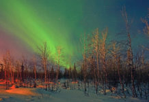 Қоңыржай, субполярлық және полярлық белдеулер