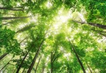 Географиялық қабық және табиғи процестер