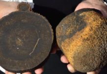 Ресей шаруашылығы. Өнеркәсібі