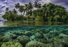 Тропиктік және субтропиктік белдеулер