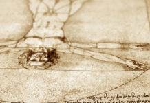 Қол сүйектері. Аяқ сүйектері