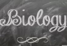 Өсімдіктер әлемінің ресурстары. Қазақстанның өсімдіктері