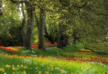 Д.Локк және Ж.Ж Руссоның педагогикалық көзқарастары