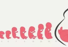 Жыныс циклының ерекшеліктері