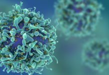 Жүйке ұлпасы