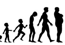 Адам экологиясы туралы реферат