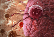 Апоптоз туралы реферат