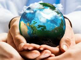 Жаздық бидай өнімінің қалыптасуының морфизиологиялық ерекшеліктермен